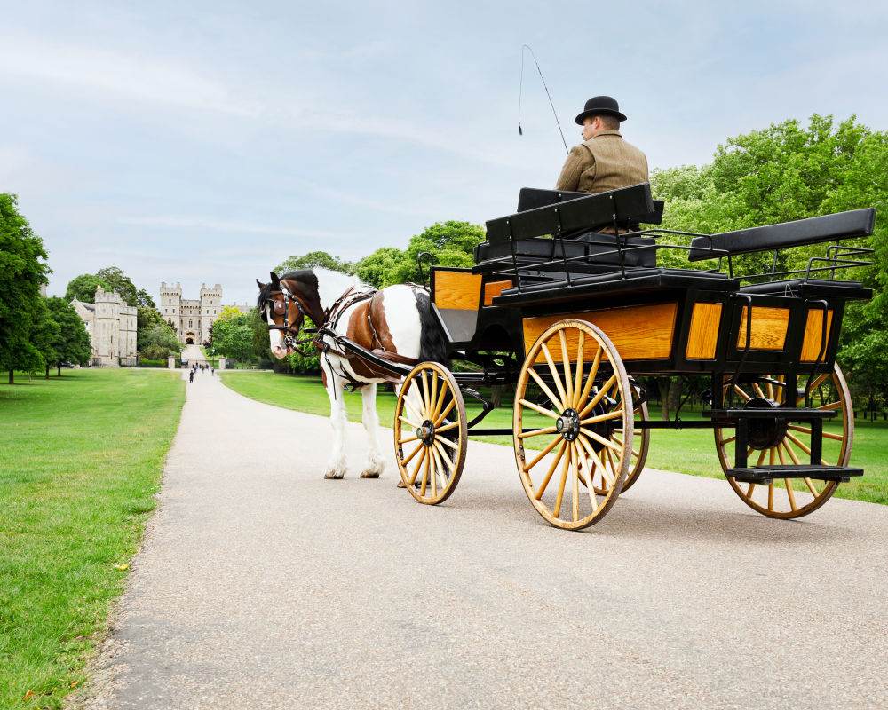 Windsor Carriages on the Long Walk, Windsor Great Park